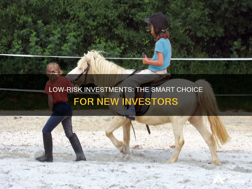 why should beginning investors choose low risk investments