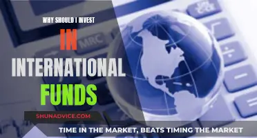 International Funds: Diversify Your Portfolio, Gain Global Exposure