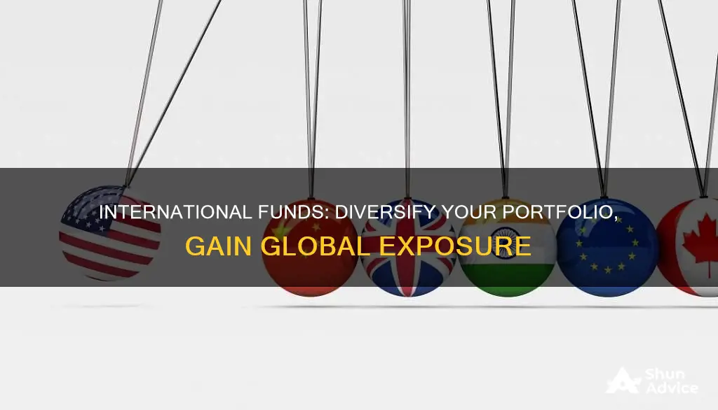 why should I invest in international funds