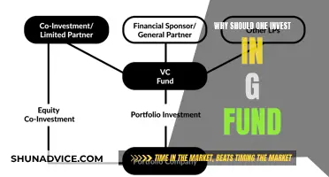 G Fund: A Safe and Secure Investment Option