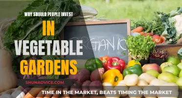 Vegetable Gardens: Healthy, Wealthy, Happy