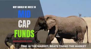 Mid-Cap Funds: Smart Investment for Long-Term Growth