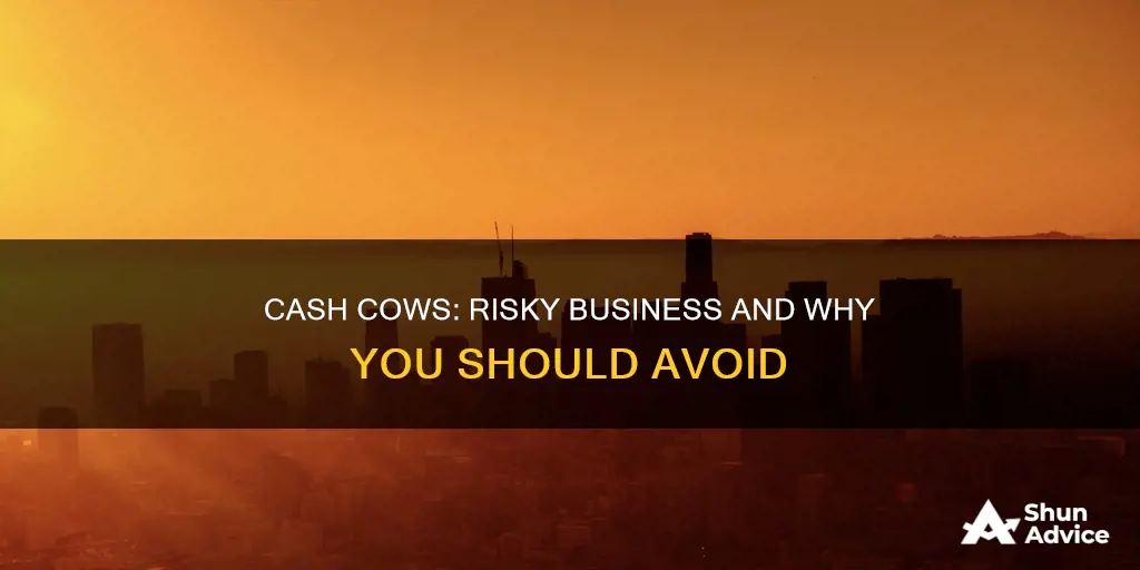 why should you not invest in a cash cow