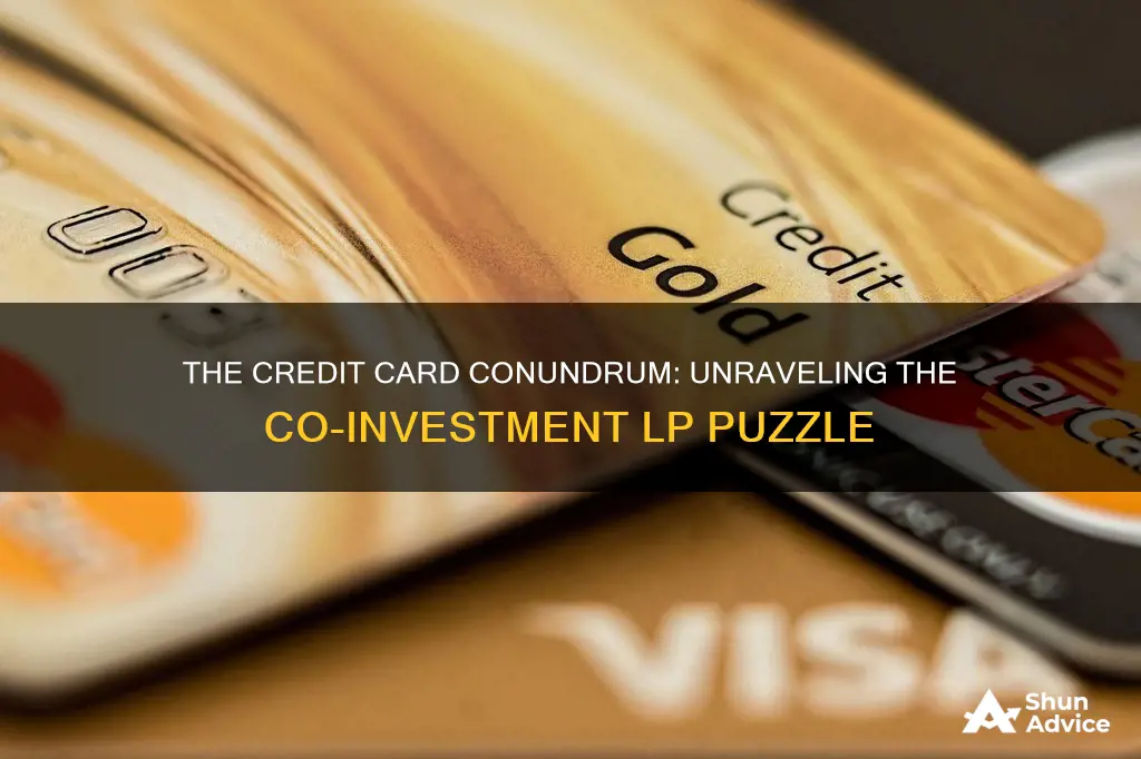 why the terms in credit card holding co-investment lp problematic