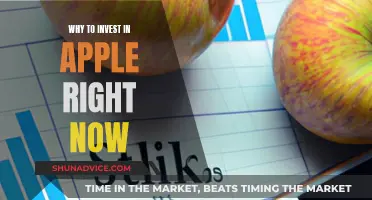 Apple: A Wise Investment Right Now