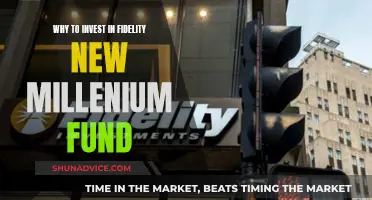 Invest Wisely: Fidelity New Millennium Fund Offers Diverse Opportunities