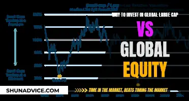 Large Cap vs Global Equity: Where to Invest?