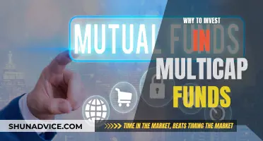 Diversify Your Portfolio: Invest in Multicap Funds