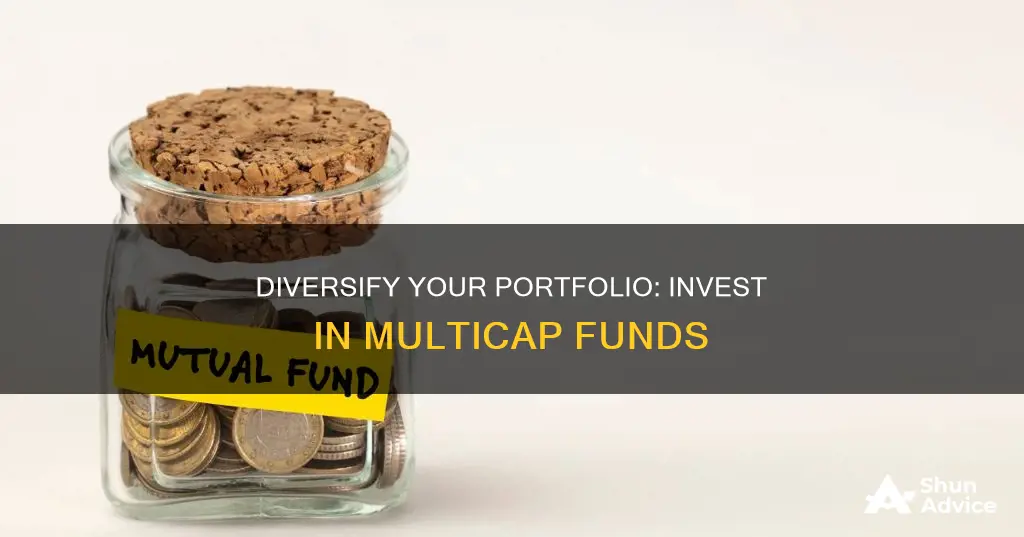 why to invest in multicap funds