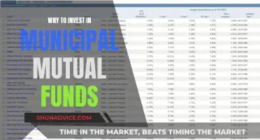 Municipal Mutual Funds: A Smart Investment Strategy