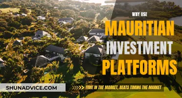 Mauritian Investment Platforms: Benefits for Your Money