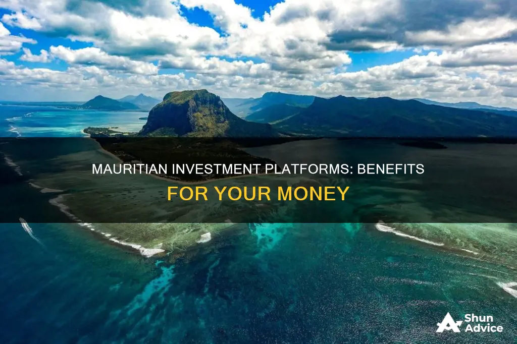 why use mauritian investment platforms