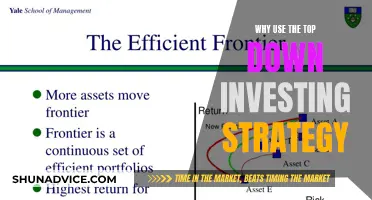 Top-Down Investing: A Strategic Approach to Stock Success