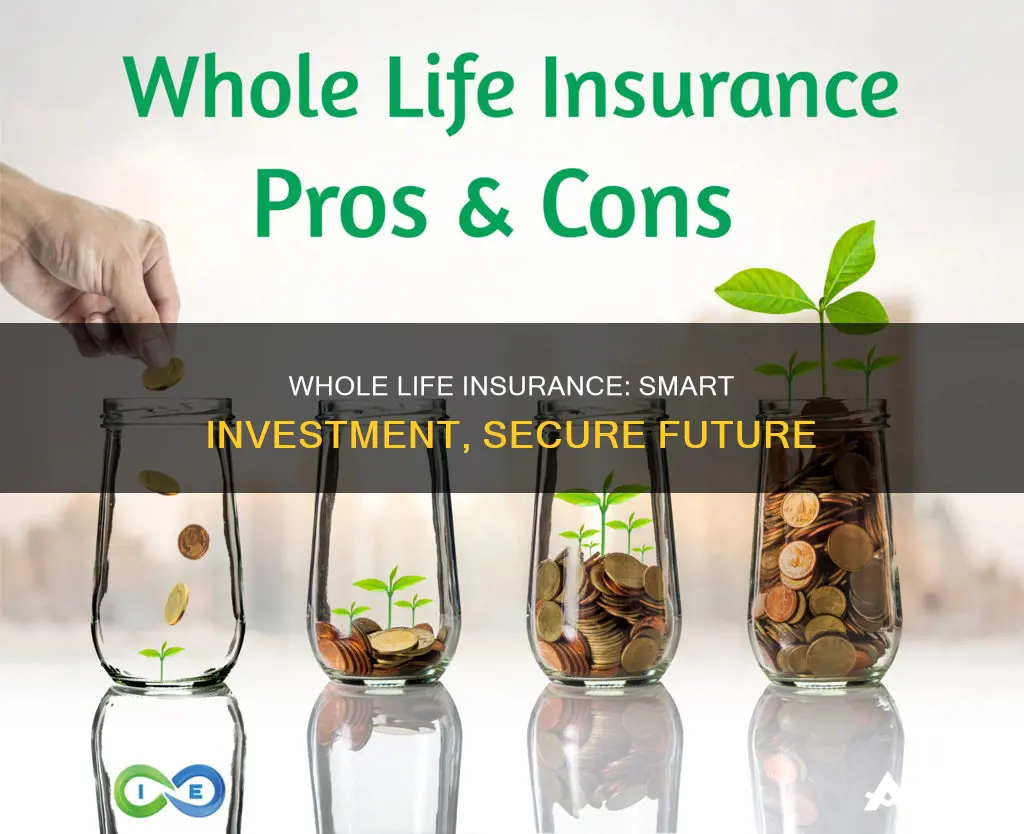 why use whole life insurance as an investment