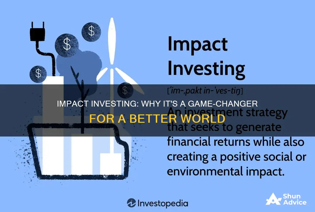 why work in impact investing