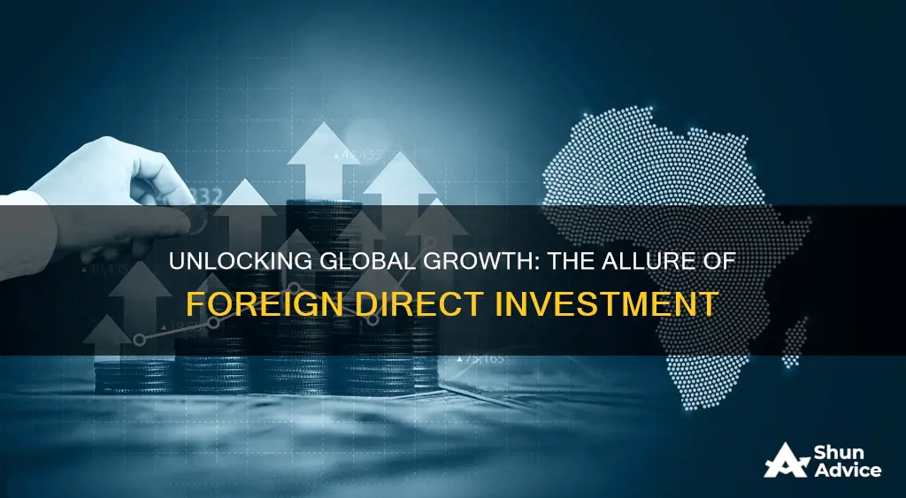 why would a country participate in foreign direct investment