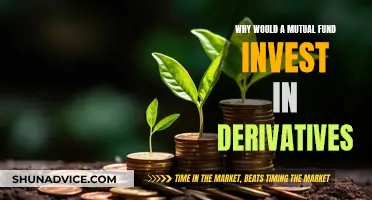 Derivatives: A Mutual Fund's Strategic Investment Choice