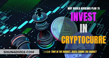 Africans' Crypto Investment: Exploring the Lucrative Digital Frontier