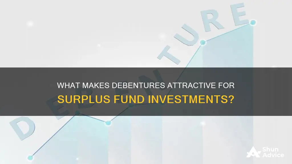 why would investors invest their surplus funds in a debenture