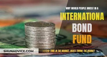 International Bond Funds: Diversifying Your Investment Portfolio