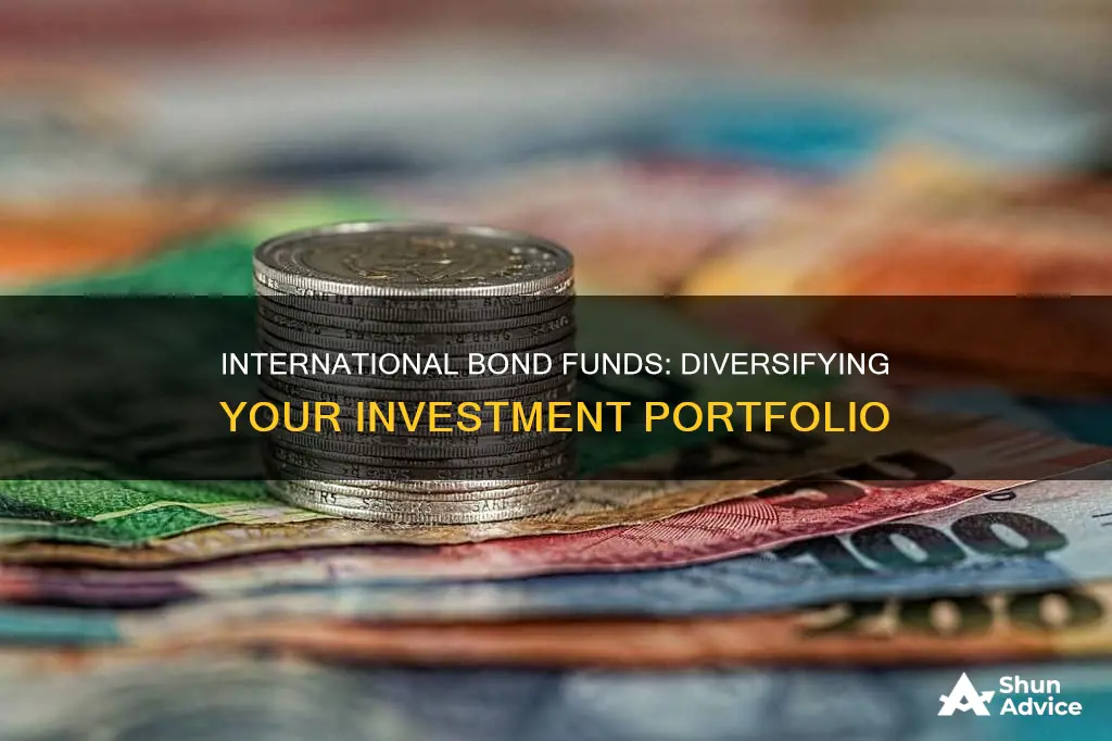 why would people invest in a international bond fund