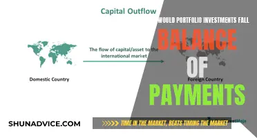 Portfolio Investments: Balance of Payments Impact