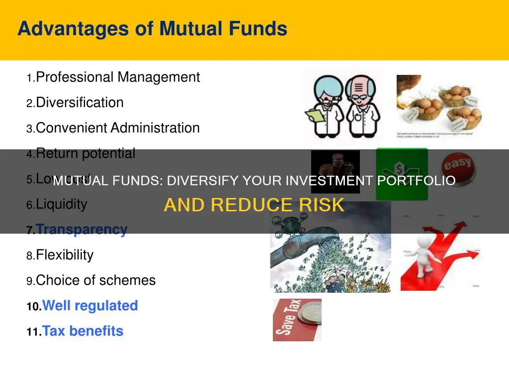 why would someone want to invest in mytual funds