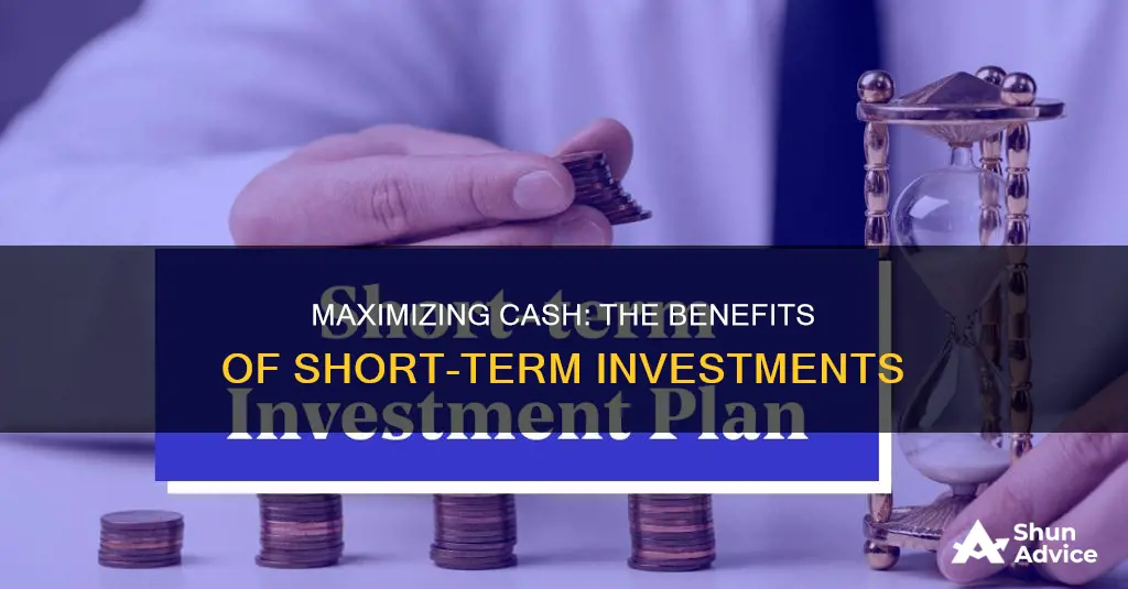 why would you add short term investment to cash