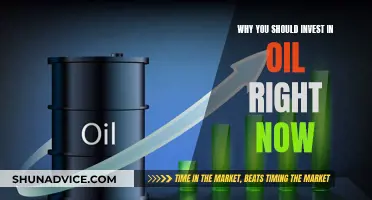 Oil: Invest Now for Future Gains