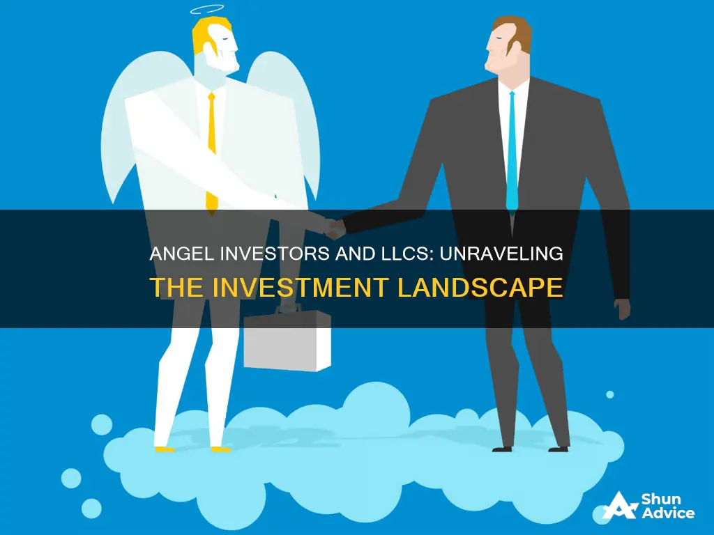 will angel investors invest in llc