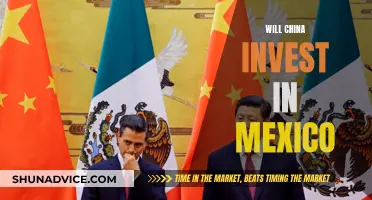 China's Investment in Mexico: A Strategic Alliance?