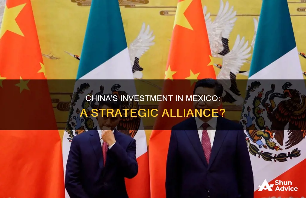 will china invest in mexico