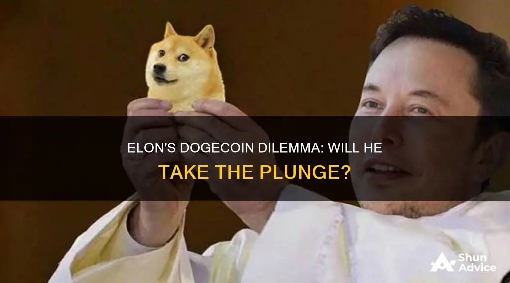 will elon invest in dogecoin