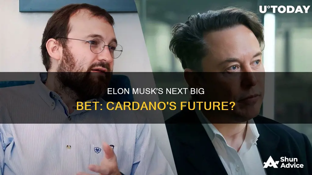 will elon musk invest in cardano