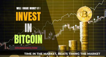 Bitcoin Investment: Can You Make Money?