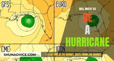 Invest 93: Hurricane or Bust?