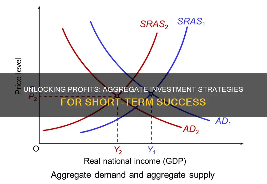 will invest in aggregate representing term shert