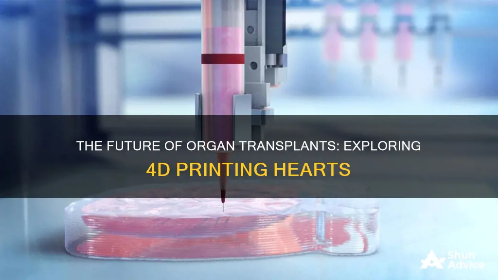 will investing in 4d printing hearts