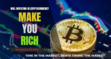 Cryptocurrency Investments: Get Rich Quick or Slow Loss?