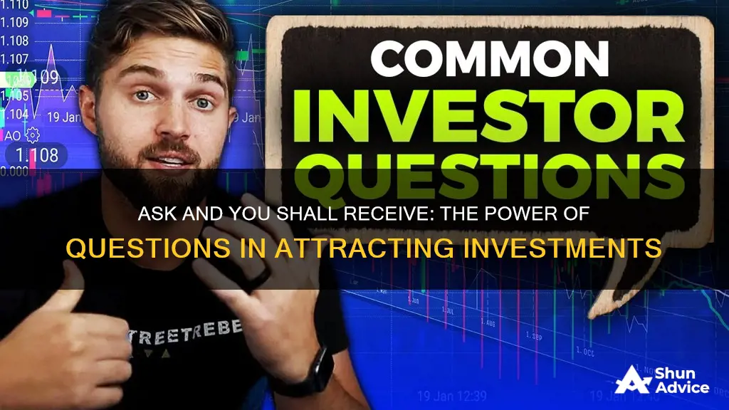 will investor likely to invest if they ask questions