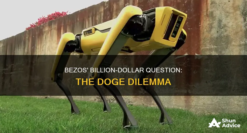 will jeff bezos invest in doge