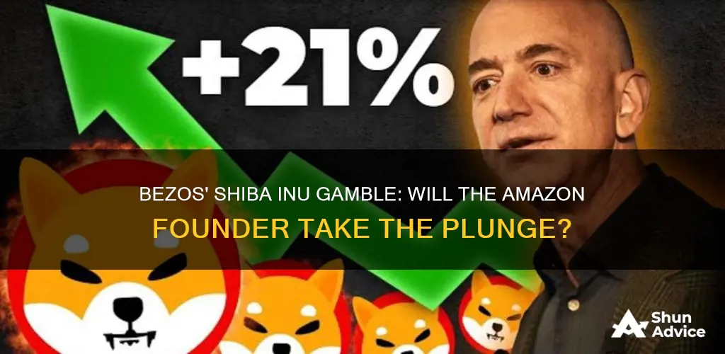 will jeff bezos invest in shiba inu