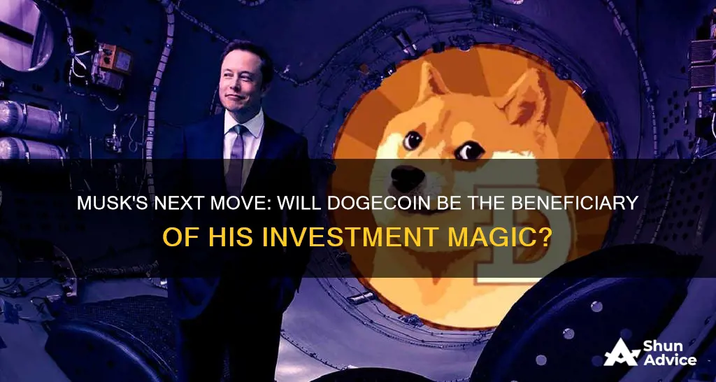 will musk invest in dogecoin