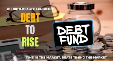 The Debt Dilemma: Owner Investment and the Creditor's Quandary