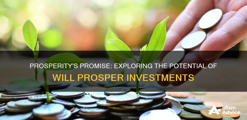 will prosper investments