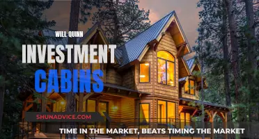 Will Quinn's Investment Cabins: A Cozy Bet on Comfort and Returns