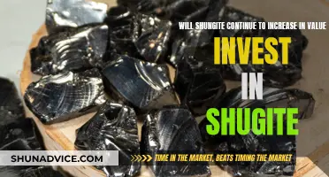 Shungite's Soaring Value: A Smart Investment or Fleeting Fad?