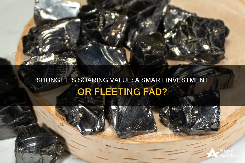 will shungite continue to increase in value invest in shugite