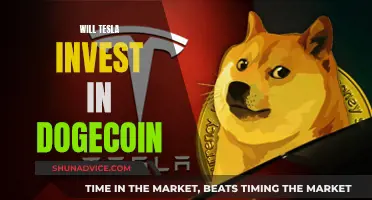 Tesla's Next Move: Diving into Dogecoin?