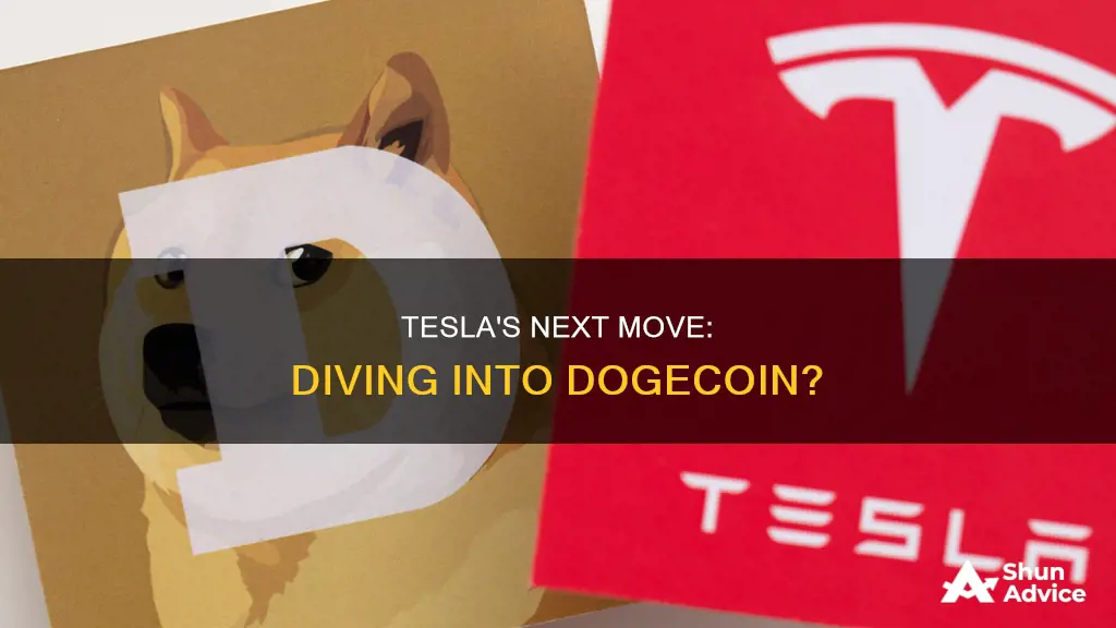 will tesla invest in dogecoin